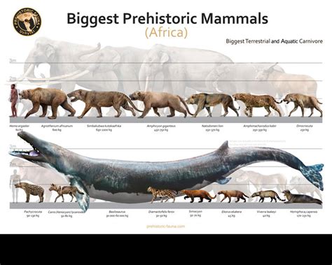Biggest Prehistoric Mammals Of Africa Carnivore By Rom U On Deviantart