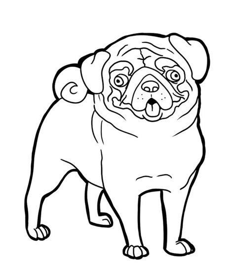 Pug Funny Face Coloring Page Pug Funny Face Coloring Page Color Luna