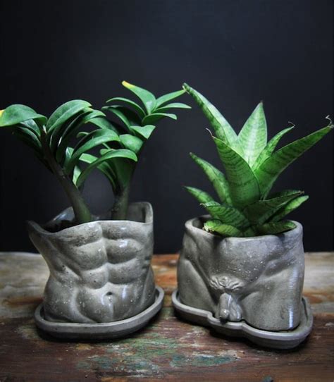 David Concrete Male Body Planter Pot Naked Body Bud Vase Etsy