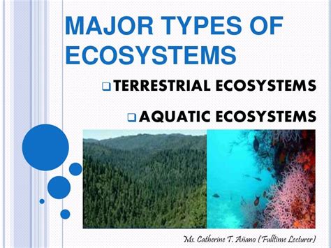 Types Of Ecosystem Ppt Images