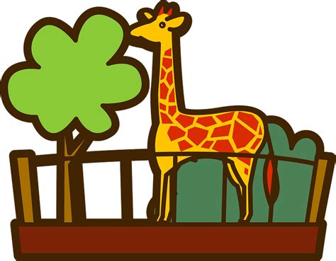 Giraffe In The Zoo Clipart Free Download Transparent Png Creazilla