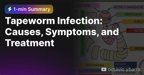 Tapeworm Infection Causes Symptoms And Treatment — Eightify