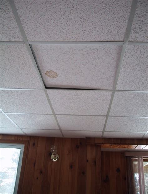 Paint popcorn or acoustic ceilings with a specialized thick sealant for between $2 and besides encapsulating asbestos ceiling tiles, how do i know which is the hottest topic at the moment? About Mesothelioma Site: Asbestos Ceiling Tiles