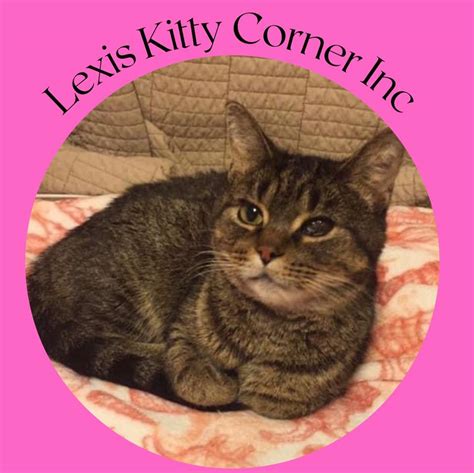Lexis Kitty Corner Inc Chiefland Fl