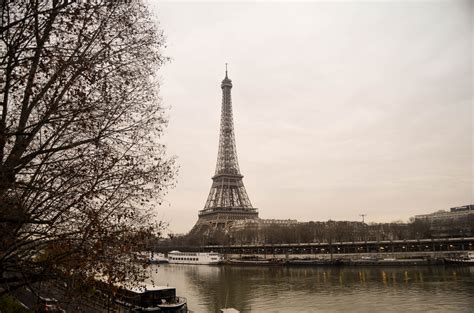Free Images Landscape Tree Bridge Eiffel Tower Paris