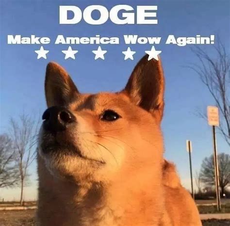 Download hd wallpapers for free. Doge for president