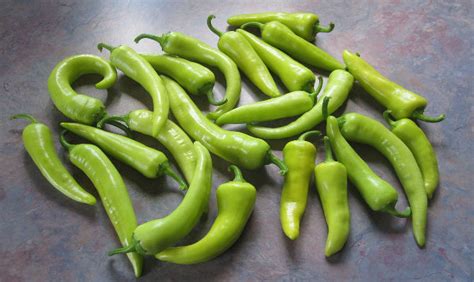 5 mild chile peppers even beginners can tolerate