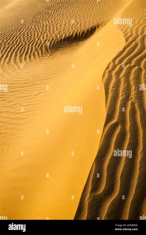 Sand Dunes In The Thar Desert Of Rajasthan India Stock Photo Alamy