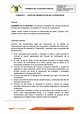 Formato DE Licitaciòn - FORMATO DE LICITACIÒN PUBLICA CÒDIGO: CO-F ...
