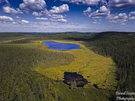 Lake Nestled In The Canadian Boreal Forests Thunder Bay District 4000