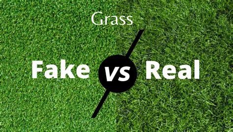 Artificial Grass Vs Real Turf Whats The Best Choice