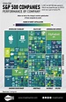 Visualizing S&P 500 Companies Performance | Infographic | InsightsArtist