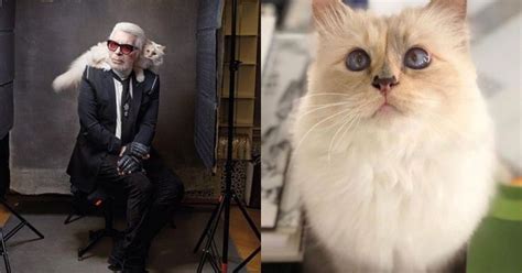 Designer Karl Lagerfelds Cat Will Inherit Rs 24 Crore From Him To