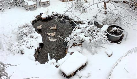 See full list on farmhouseguide.com How to build a DIY backyard pond with self-cleaning biofilter