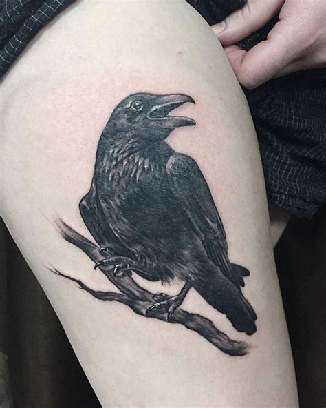 Image Result For Raven On A Branch Tattoo Ravens And Crows Raven