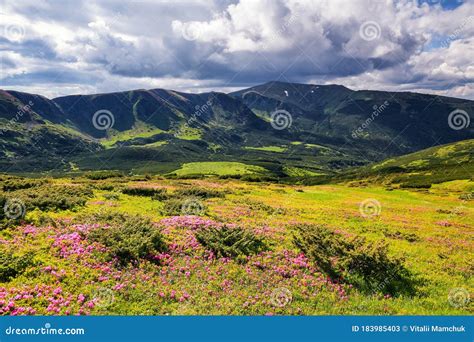 Beautiful Summer Scenery Majestic Photo Of Mountain Landscape With