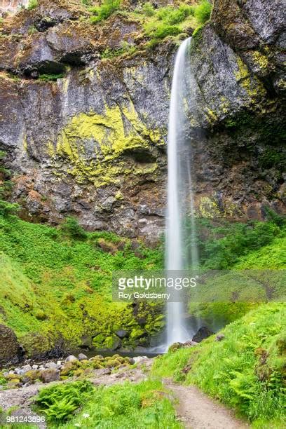 Elowah Falls Photos And Premium High Res Pictures Getty Images