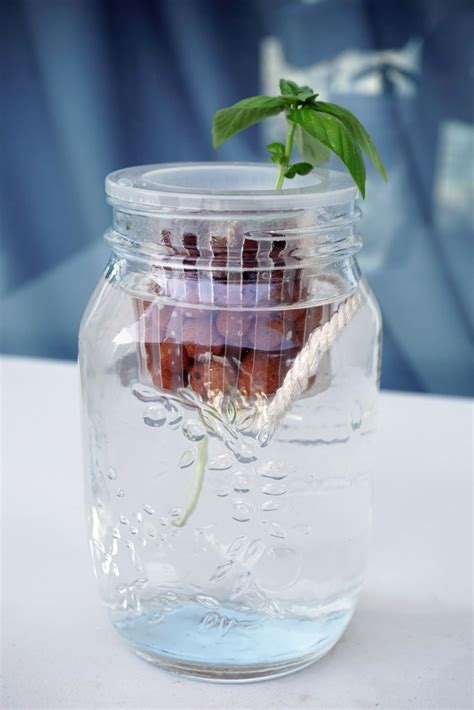 Easy Tutorial For Making Self Watering Herb Jars From Cuttings Zaga Diy