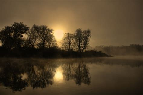 Free Images Landscape Tree Nature Outdoor Marsh