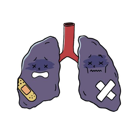 Drawing Of The Bronchial Tubes Illustrations Royalty Free Vector