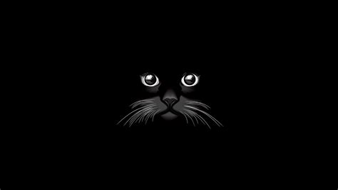 Wallpaper Cat Minimalism Black Cat Darkness