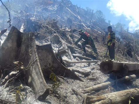 Kebakaran Hanguskan Hektare Hutan Di Aceh Tengah Tagar