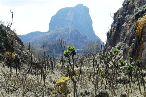 Highlights Of The Rwenzori Mountains Jontynz Tales From Around The