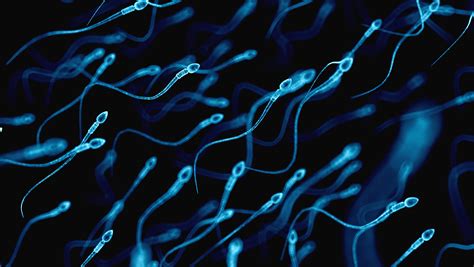 Your Sperm Count May Be Dropping And Scientists Arent Exactly Sure Why