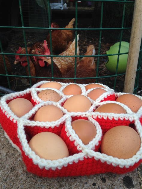 Bakers Dozen Egg Basket Crochet Egg Holder Kitchen Storage Etsy