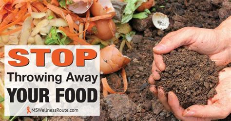 Stop Throwing Away Your Food Ms Wellness Route