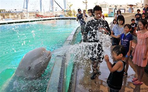 A Beluga Whale Sprays Water Onto Visitors At A Summer Attraction At The