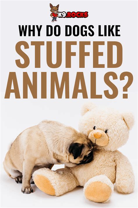 Why Do Puppies Like Stuffed Animals