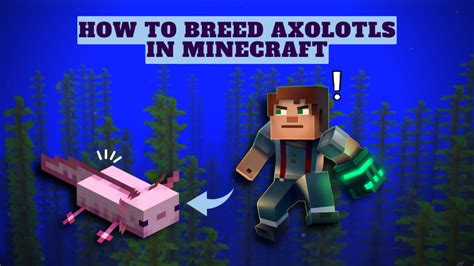 How To Breed Axolotls In Minecraft Kiwipoints
