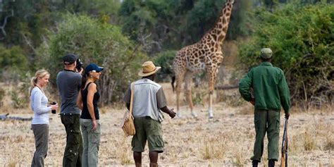 Best Zambia Walking Safaris Adventure Safaris Yellow Zebra Safaris