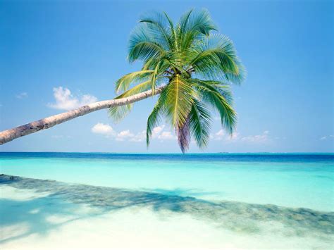 Best Tropical Island Wallpaper Just For Sharing