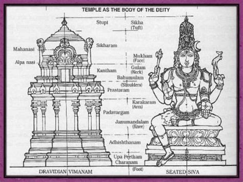 Vaastu Shastra Hindu Temple And The Structure Of Human Body Vedic Tribe