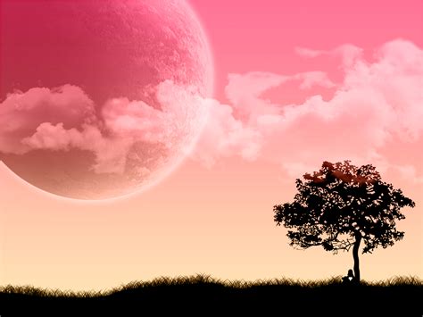 Free Download Pink Sky Amazing Pink Clouds Water Sky Nature Hd