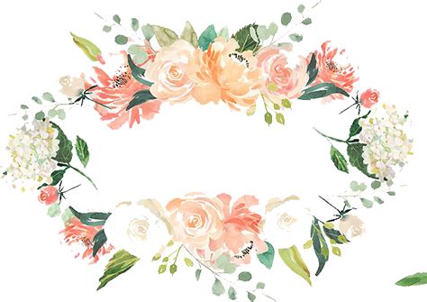 Download Watercolor Branch Png  Free Peaches And Cream Flower