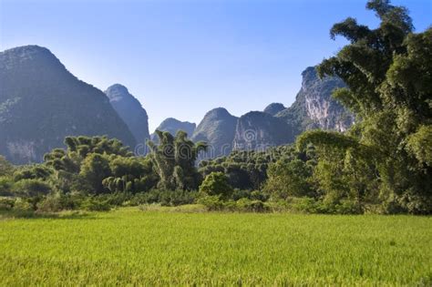 Rural Landscape Near Yangshuo China Stock Photo Image Of Guilin