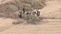 Human bones found in field near Buckeye, police say | 12news.com