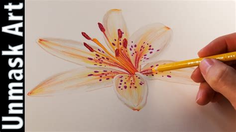 How To Color A Flower With Prismacolor Colored Pencils For Beginners