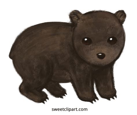 Cute Wombat Clipart Illustration Free Clip Art