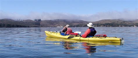 Birding By Kayak Tour Report Blue Waters Kayaking Point Reyes California