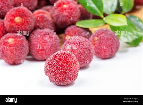 Red And Ripe Waxberry Under White Background Stock Photo Alamy