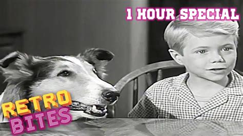 Lassie 1 Hour Special Full Episodes Old Cartoons Youtube