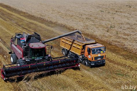 Belarusian Farmers Harvested 7 Million Tonnes Of Grain