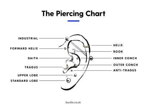 15 Cool Girl Ear Piercings Youll Want To Get Immediately