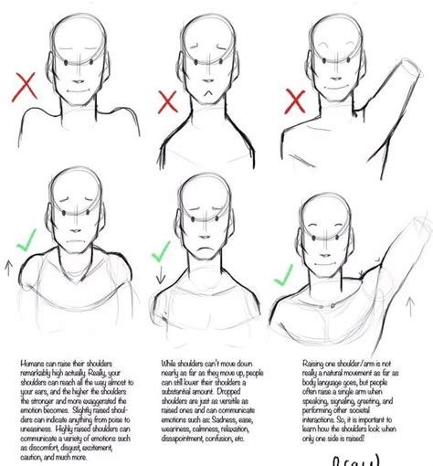 Mastering The Art Of Drawing Shoulders