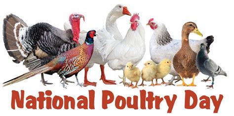 National Poultry Day March 19 2021 Happy Days 365