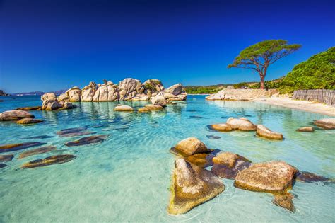 Visiter La Corse Les Plus Beaux Endroits De Lîle De Beauté